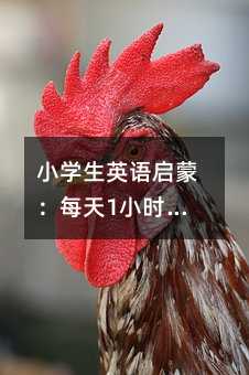 小學生英語啟蒙:每天1小時,讓孩子主動愛上英語
