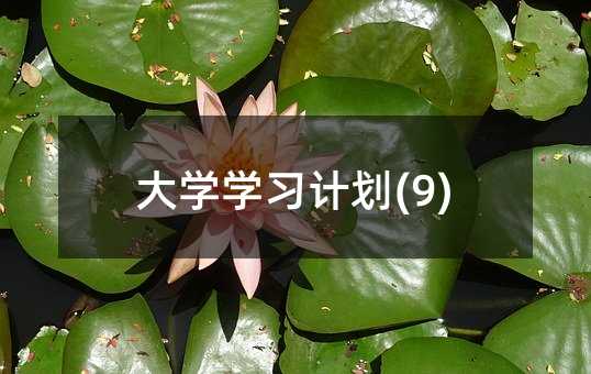 大學學習計劃(9)