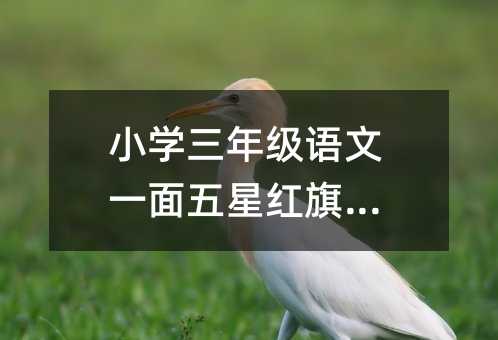 С�W���꼉�Z��һ�����Ǽt��̰�