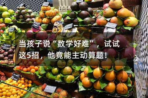 �������f�����W���y����ԇԇ�@5�����������������}��