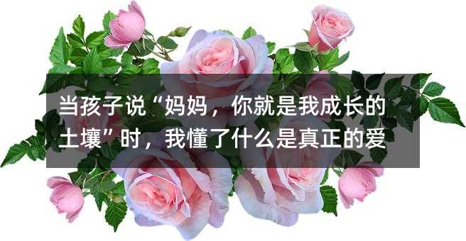 �������f��������������ҳ��L���������r���Ҷ���ʲô�������Đ�