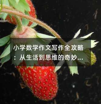 С�W���W���Č���ȫ���ԣ������˼�S�������ó�