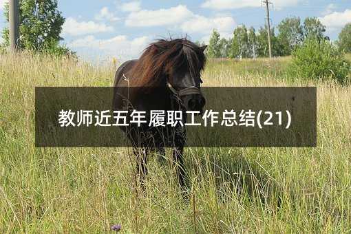 �̎����������������Y(ji��)(21)