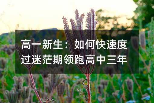 ��һ��������ο��ٶ��^��ã���I(l��ng)�ܸ�������