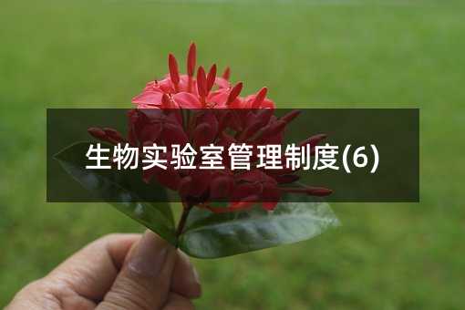 �����ҹ����ƶ�(6)