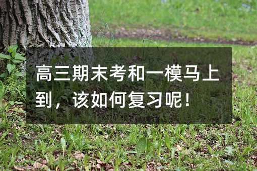 高三期末考和一模馬上到,該如何復習呢!
