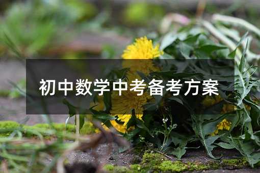 初中數學中考備考方案
