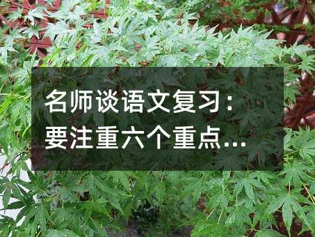 名師談語文復習:要注重六個重點環節