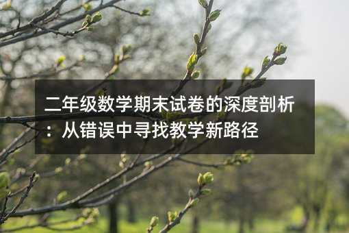 二年級數(shù)學(xué)期末試卷的深度剖析:從錯誤中尋找教學(xué)新路徑