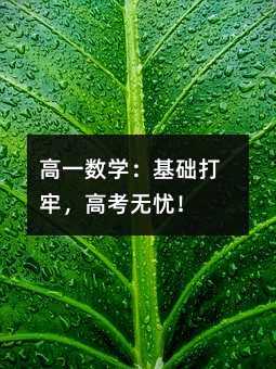 高一數(shù)學(xué):基礎(chǔ)打牢,高考無憂!