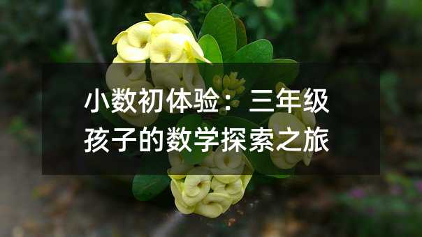 С��(sh��)���w�(y��n)�����꼉(j��)���ӵĔ�(sh��)�W(xu��)̽��֮��