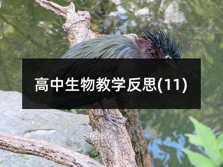 ��������̌W��˼(11)