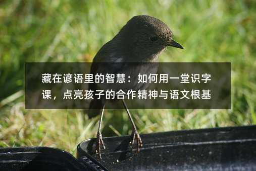 �����V�Z����ǻۣ������һ���R���n���c�����ӵĺ��������c�Z�ĸ���