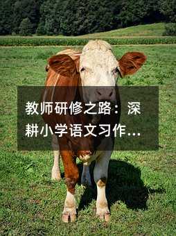 �̎�����֮·�����С�W�Z�������̌W