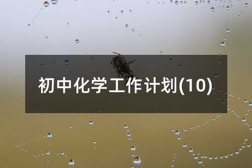 初中化學工作計劃(10)