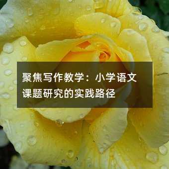 �۽������̌W(xu��)��С�W(xu��)�Z(y��)���n�}�о��Č�(sh��)�`·��