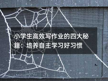 С�W����Ч�����I���Ĵ��ؼ������B�����W�������T