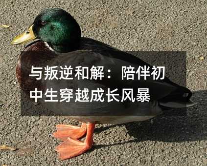 �c����ͽ⣺����������Խ���L�L(f��ng)��