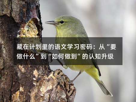 ����Ӌ������Z�ČW���ܴa���ġ�Ҫ��ʲô������������������J֪����