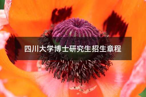 �Ĵ���W(xu��)��ʿ�о��������³�