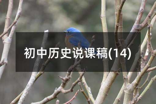 ���Кvʷ�f�n��(14)