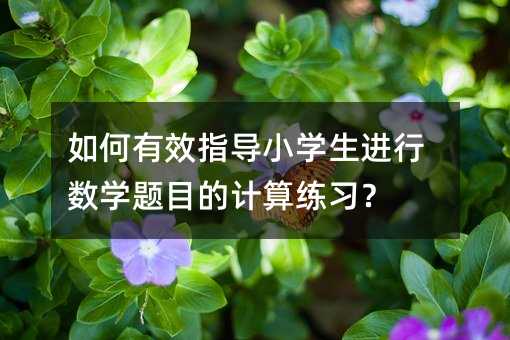 �����Чָ��С�W���M�Д��W�}Ŀ��Ӌ�㾚����