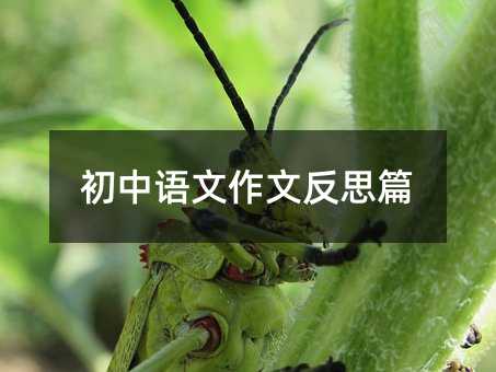 初中語文作文反思篇