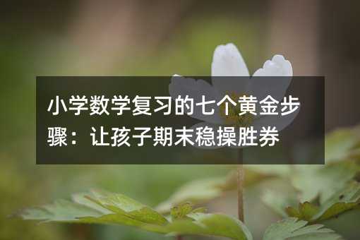 小學數學復習的七個黃金步驟:讓孩子期末穩操勝券