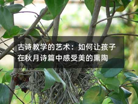 ��Ԋ(sh��)�̌W(xu��)��ˇ�g(sh��)�����׌����������Ԋ(sh��)ƪ�и�������Ѭ��