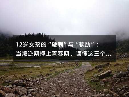 12�qŮ���ġ�Ӳ�̡��c��ܛ�ߡ�����������ײ���ഺ�ڣ��x���@������̖�������ǻ۵��_ʼ