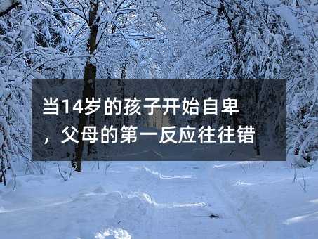 ��14�q�ĺ����_ʼ�Ա�����ĸ�ĵ�һ���������e��