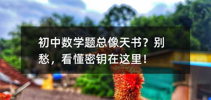初中數學題總像天書?別愁,看懂密鑰在這里!