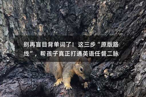 別再盲目背單詞了!這三步“原版路線”,幫孩子真正打通英語(yǔ)任督二脈
