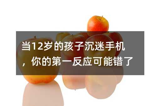 ��(d��ng)12�q�ĺ��ӳ����֙C(j��)����ĵ�һ����(y��ng)�����e(cu��)��