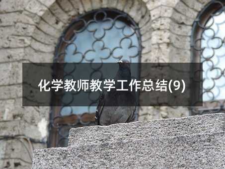 化學教師教學工作總結(9)