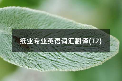 紙業專業英語詞匯翻譯(T2)