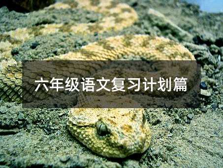 六年級語文復習計劃篇