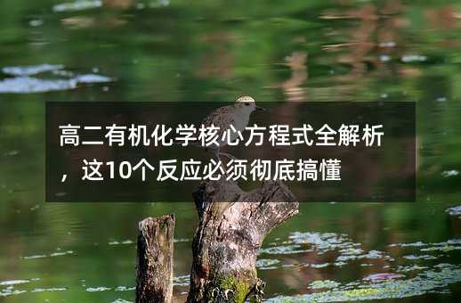 �߶��ЙC(j��)���W(xu��)���ķ���ʽȫ�������@10��(g��)����(y��ng)��횏ص׸㶮