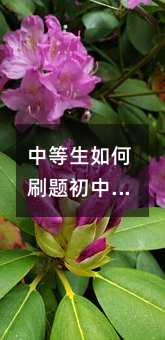 �е������ˢ�}���Д�(sh��)�W(xu��)