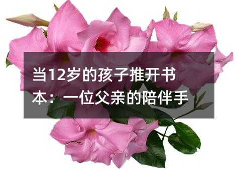 ��12�q�ĺ������_������һλ���H�������ӛ