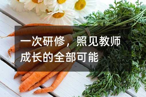 一次研修,照見教師成長的全部可能