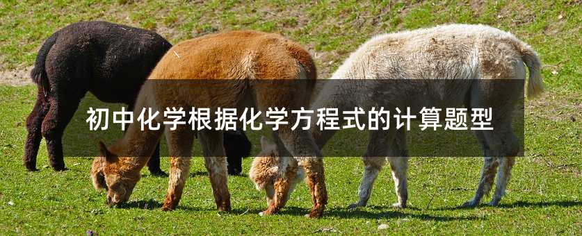 初中化學根據化學方程式的計算題型