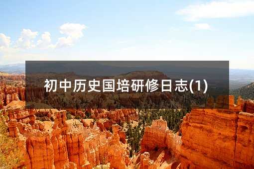 初中歷史國培研修日志(1)