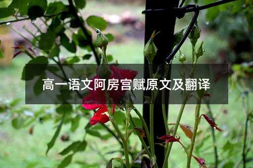 ��һ�Z�İ����m�xԭ�ļ����g