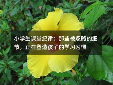 С�W���n�üo�ɣ���Щ�����Եļ������������캢�ӵČW�����T