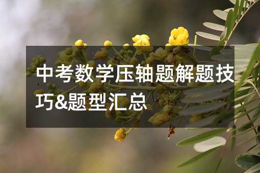 �п����W���S�}���}����&�}�ͅR��