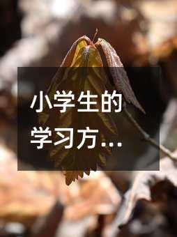 小學生的學習方(10)