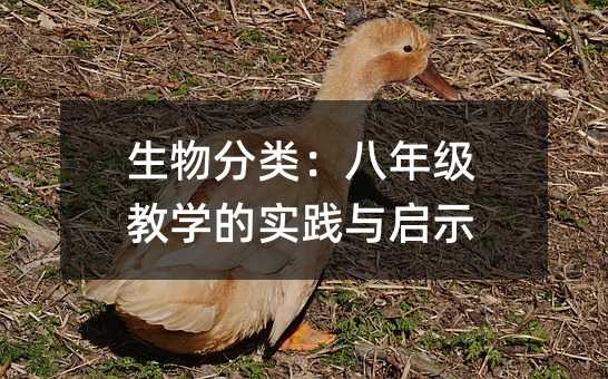 ���������꼉�̌W(xu��)�Č��`�c��ʾ