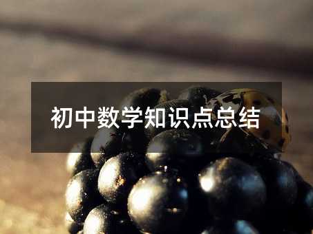 初中數學知識點總結
