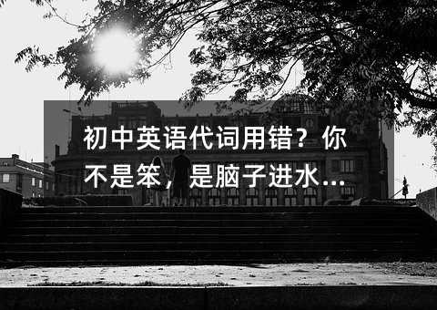 初中英語代詞用錯?你不是笨,是腦子進水了!